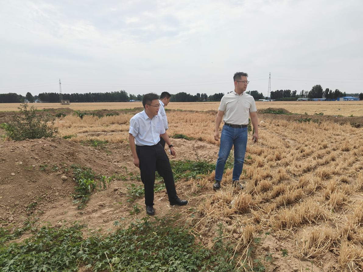 1750643752481080616.png 1750643752481080616.png